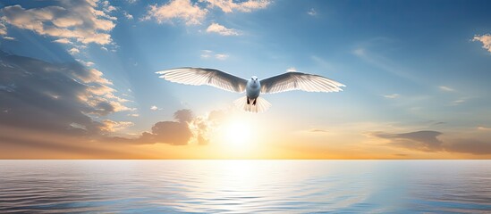 In the tranquil portrait of nature's concept, a white cloud meandering across the blue sky, the sun's golden rays reflect off the ocean, while a beautiful bird with pastel feathers finds freedom and - obrazy, fototapety, plakaty