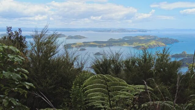 Native forest and islands on the Cape Brett Peninsula hike, Bay of Islands, Northland, New Zealand