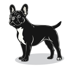 French Bulldog silhouettes and icons. black flat color simple elegant French Bulldog animal vector and illustration.