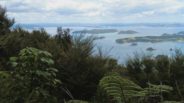 Native forest and islands on the Cape Brett Peninsula hike, Bay of Islands, Northland, New Zealand
