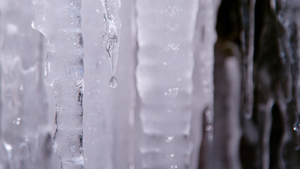 MACRO, DOF: Thick melting icicles with a dripping tiny crystal clear water drop