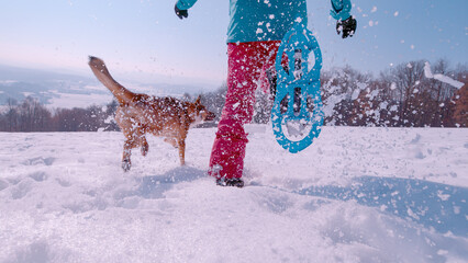 LOW ANGLE VIEW, CLOSE UP: Playful dog and lady in snowshoes run in fresh snow
