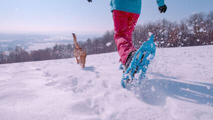 CLOSE UP, LOW ANGLE VIEW: Brown dog and a woman enjoy running in fresh snow