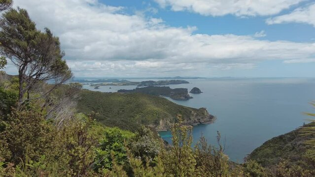 Native forest and islands on the Cape Brett Peninsula hike, Bay of Islands, Northland, New Zealand