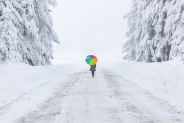 Girl Walking in the Snow with her Colorful Umbrella Photo, Golcuk National Park Bolu, Turkiye...