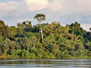Fahrt auf dem Amazonas