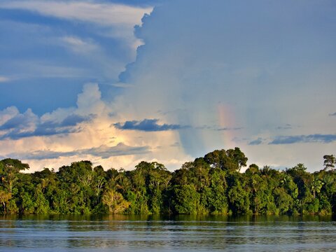 Fahrt auf dem Amazonas