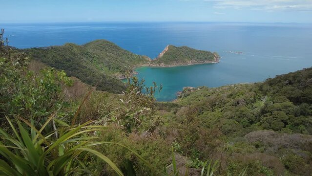 Native forest and islands on the Cape Brett Peninsula hike, Bay of Islands, Northland, New Zealand