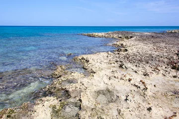 Cercles muraux Plage de Seven Mile, Grand Cayman Grand Cayman Seven Mile Beach Rocky Shore