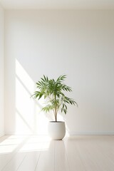 Clean white room with a tall simple plant in one corner for depth  AI generated illustration
