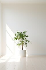 Fototapeta premium Clean white room with a tall simple plant in one corner for depth AI generated illustration