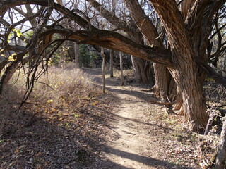 Kansas hiking trail in late Fall