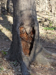 Kansas hiking trail in late Fall