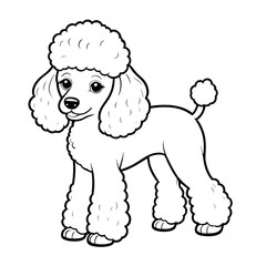 Poodle dog with fluffy poofy hair, pet animal theme, coloring book page, coloring book, outline, SVG vector art, isolated on a white background