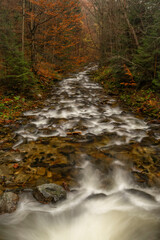 Obraz premium Huciva Desna river after rain morning near Kouty nad Desnou