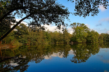 Fototapeta na wymiar Bäume, Wolken und Himmel spiegeln sich in einem See Trees, clouds and sky are reflected in a lake