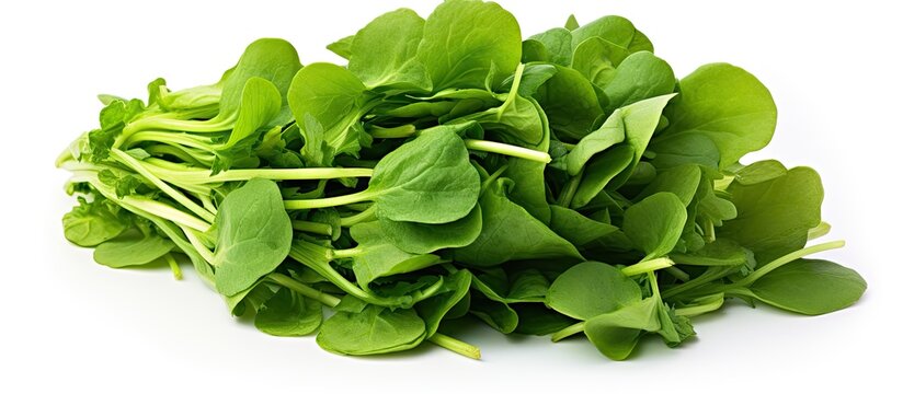 In a pristine white background, a lush bunch of vibrant green watercress leaves entices with its healthy, natural, and organic allure as a nutritious food ingredient, embodying the essence of nature's