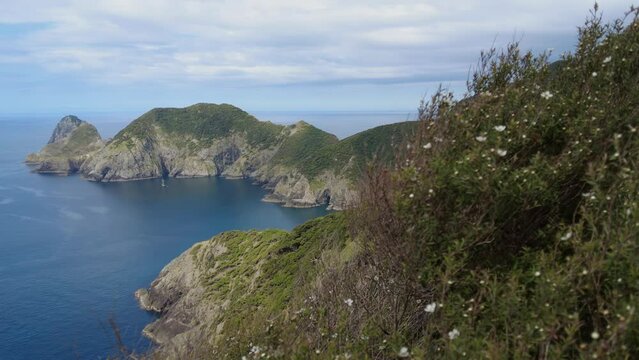 Native forest and islands on the Cape Brett Peninsula hike, Bay of Islands, Northland, New Zealand