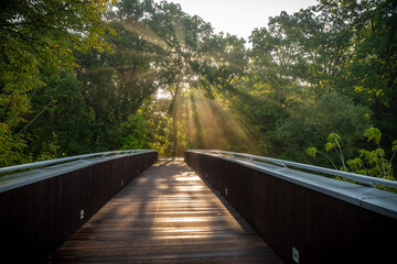 drewniany mostek w parku wczesnym rankiem z promieniami słońca w porannej mgle między drzewami