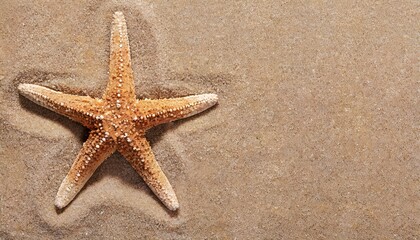 Fototapeta na wymiar Starfish in the sand. Copy space, flatly. The concept of tourism and recreation