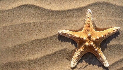 Starfish in the sand. Copy space, flatly. The concept of tourism and recreation