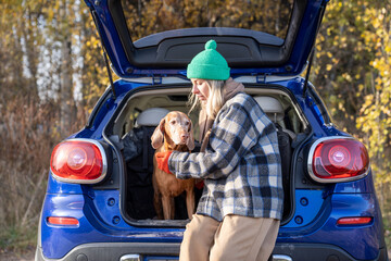Loving middle-aged pet owner travelling with purebred hound dog magyar vizsla in car. Female sitting in automobile boot during stop for meal, hugging beloved adorable puppy. Spending pastime with pets - obrazy, fototapety, plakaty