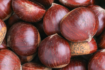 Ripe chestnuts close up. Sweet raw chestnuts. Husked chestnuts. Organic food