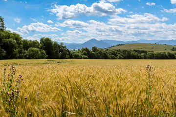 Beautiful view on fields in Liptov region in Slovakia