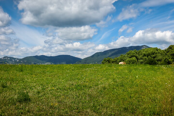 Nature in Liptov region in Slovakia