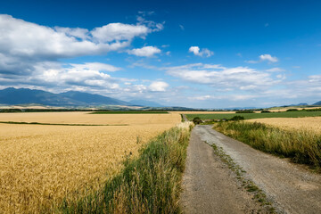 Beautiful walking trail through fields and with view on Western Tatras in Liptov region