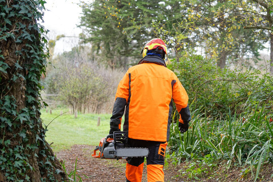 Homme avec une tron&ccedil;onneuse, dans une foret