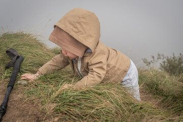 Baby crawling up a grassy and rocky slope