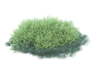 Various types of flowers grass bushes shrub and small plants isolated	
