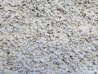Abstract gray rough wall textured background with copy space.