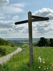 signpost in the park