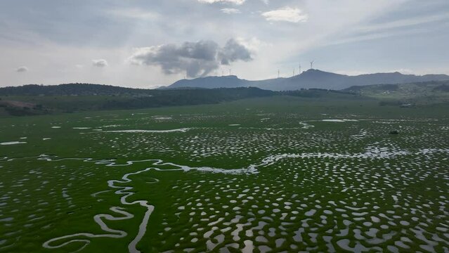 a beautiful view. Karagol plateau. sakarya black lake