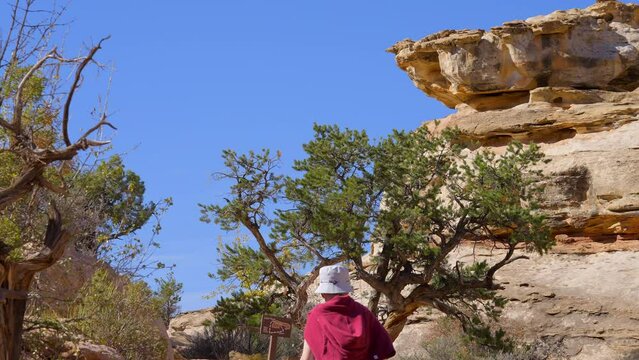 Establishing shot of female tourist at mountain trail with red rocks background in Hickman Natural Bridge Trail, Capital Reef National Park, Utah, North America. Day time on October 2023. Still camera