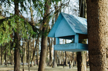 A blue bird feeder is hanging in a city park on a tree.