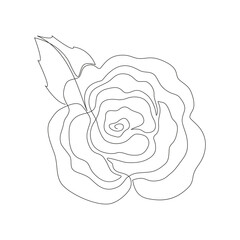 Floral silhouette art line. Flowers in continuous line drawing style. Border with rose. Minimalist black linear sketch. Contour graphics for design.