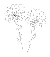 Spring flower. Continuous line drawing. Vector illustration.