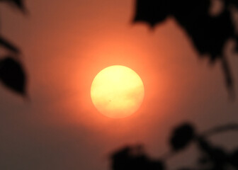 Bloody sun on wildfire day