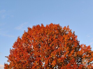 Autunno