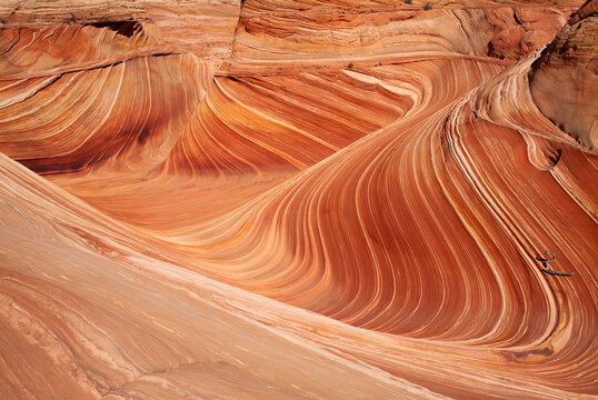 The Wave Arizona Natural Sandstone Formation Hiking Destination BLM
