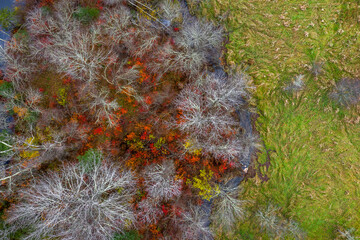 Aerial view of a Connecticut stream and fall foliage 