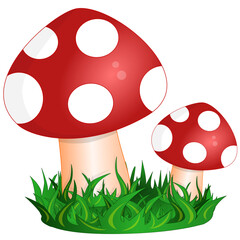 fly agaric mushroom
