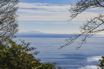 吾妻山公園から見た相模灘と遠くに見える大島