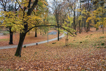 Cloudy autumn day in the park