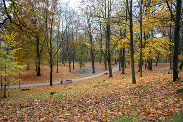Cloudy autumn day in the park