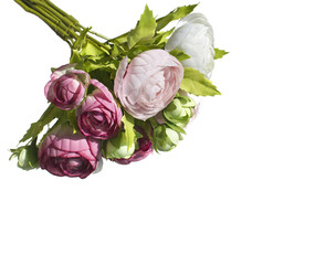 Silk flower style Cabbage Roses Bouquets isolated white background.