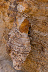 Concretions in a sand quarry. Sedimentary rocks with a high content of iron oxide. Red soil, loam. The texture of the soil.